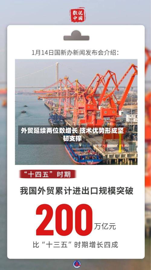 外贸延续两位数增长 技术优势形成坚韧支撑-第2张图片