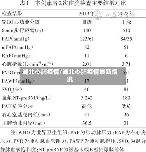 湖北心肺疫情/湖北心肺疫情最新情况