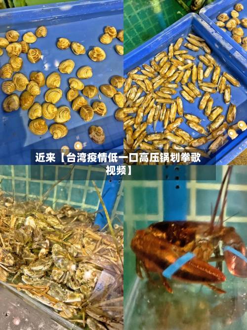 近来【台湾疫情低一口高压锅划拳歌视频】