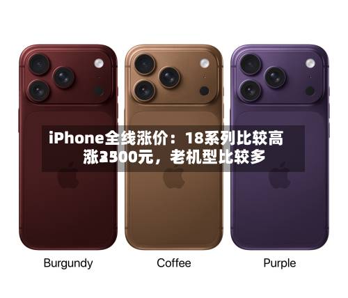 iPhone全线涨价：18系列比较高涨3500元	，老机型比较多涨2300元-第2张图片