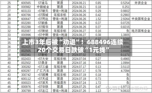 上市3年后被“劝退	”！688496连续20个交易日跌破“1元线”-第2张图片