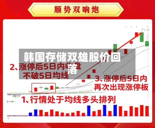 韩国存储双雄股价回落-第2张图片