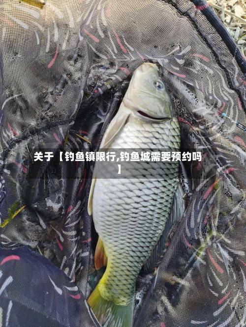 关于【钓鱼镇限行,钓鱼城需要预约吗】-第1张图片