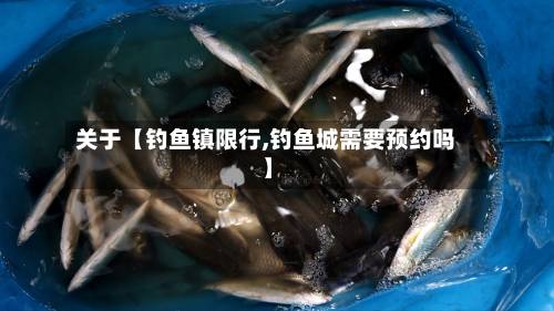 关于【钓鱼镇限行,钓鱼城需要预约吗】-第2张图片