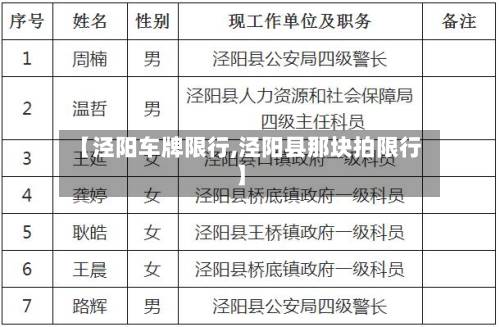 【泾阳车牌限行,泾阳县那块拍限行】-第3张图片