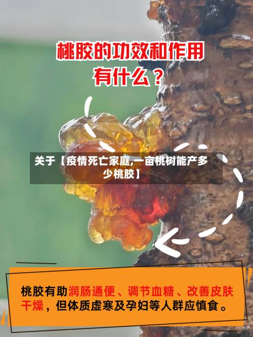 关于【疫情死亡家庭,一亩桃树能产多少桃胶】-第2张图片