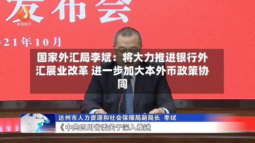 国家外汇局李斌：将大力推进银行外汇展业改革 进一步加大本外币政策协同