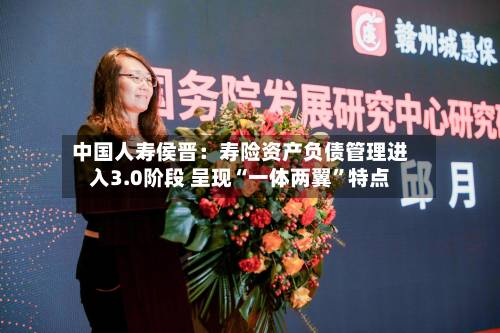 中国人寿侯晋：寿险资产负债管理进入3.0阶段 呈现“一体两翼”特点-第3张图片