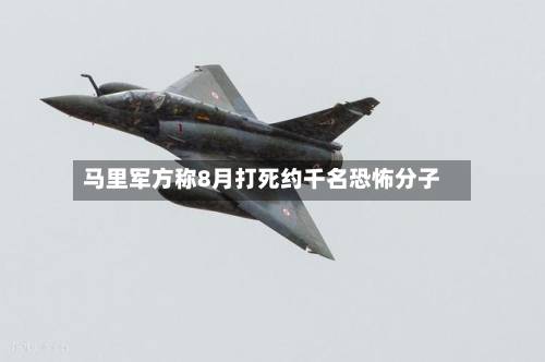 马里军方称8月打死约千名恐怖分子-第3张图片