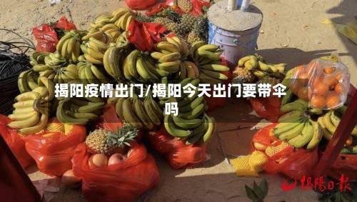揭阳疫情出门/揭阳今天出门要带伞吗
