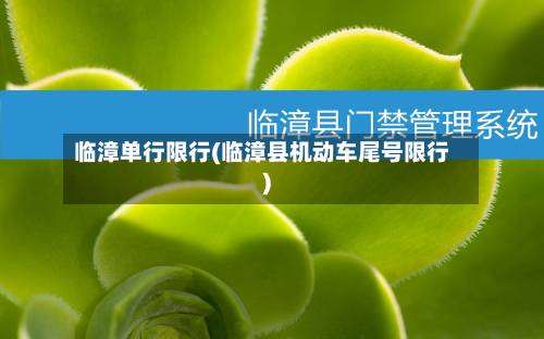 临漳单行限行(临漳县机动车尾号限行)-第3张图片