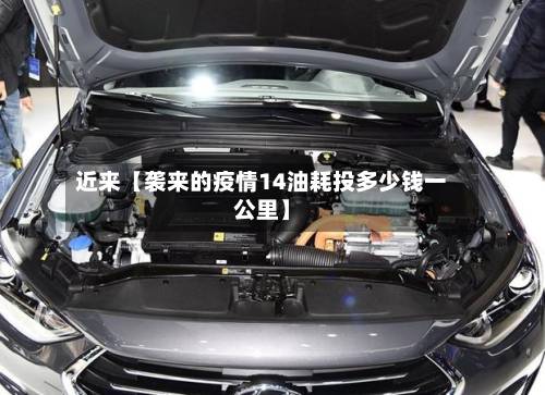 近来【袭来的疫情14油耗投多少钱一公里】-第2张图片