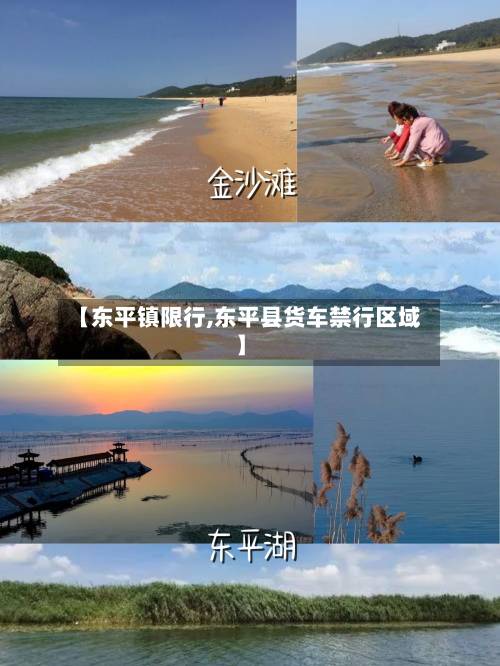 【东平镇限行,东平县货车禁行区域】