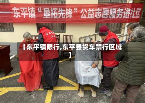 【东平镇限行,东平县货车禁行区域】-第2张图片
