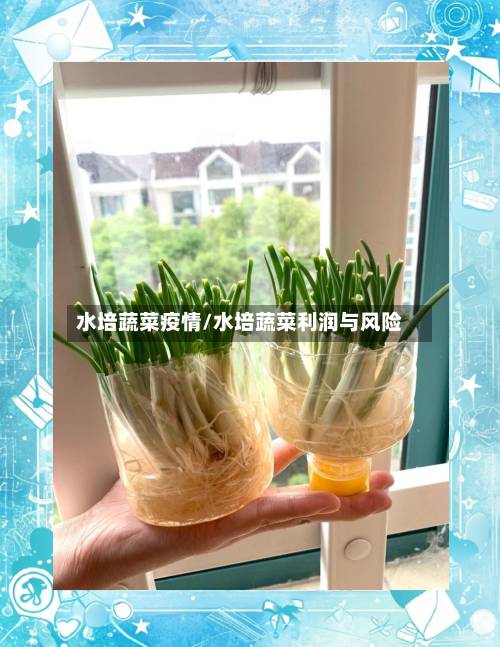 水培蔬菜疫情/水培蔬菜利润与风险-第3张图片