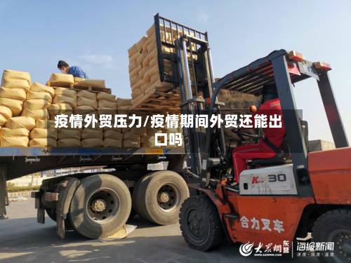 疫情外贸压力/疫情期间外贸还能出口吗-第1张图片