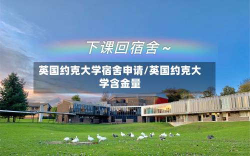 英国约克大学宿舍申请/英国约克大学含金量-第1张图片