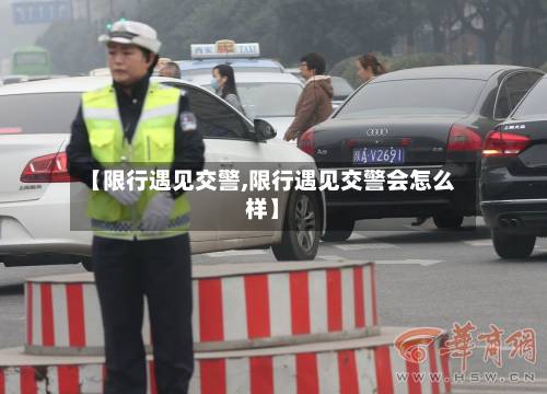 【限行遇见交警,限行遇见交警会怎么样】-第3张图片