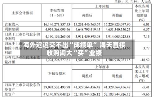 海外迟迟交不出“成绩单” 海天直接收购淘大“买”业绩-第2张图片