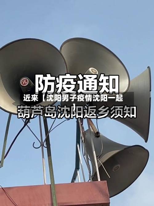 近来【沈阳男子疫情沈阳一起】-第2张图片