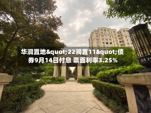华润置地"22润置11"债券9月14日付息 票面利率3.25%-第1张图片