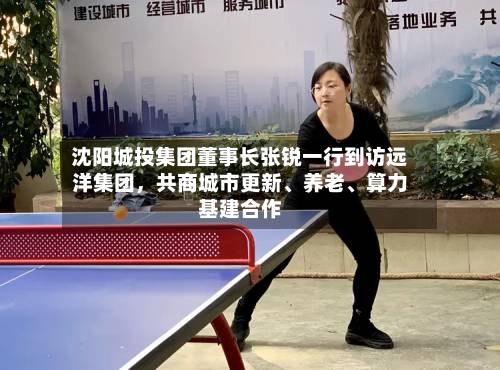 沈阳城投集团董事长张锐一行到访远洋集团	，共商城市更新、养老	、算力基建合作-第3张图片