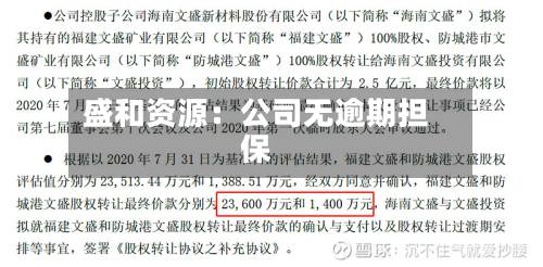 盛和资源:公司无逾期担保-第3张图片