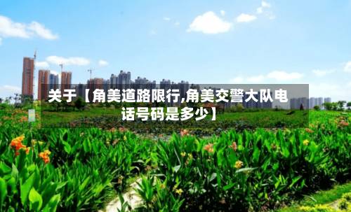 关于【角美道路限行,角美交警大队电话号码是多少】-第2张图片