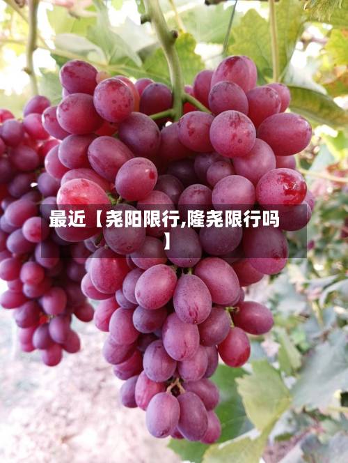 最近【尧阳限行,隆尧限行吗】-第3张图片