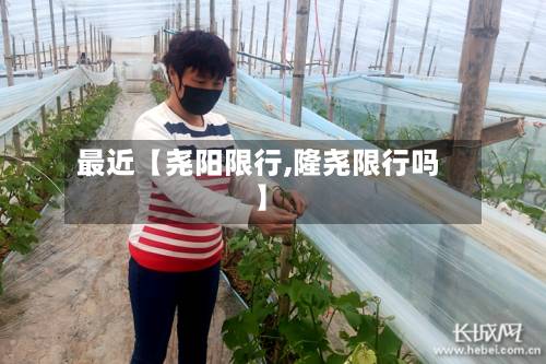 最近【尧阳限行,隆尧限行吗】-第2张图片