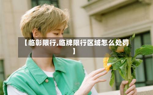 【临彰限行,临牌限行区域怎么处罚】-第1张图片