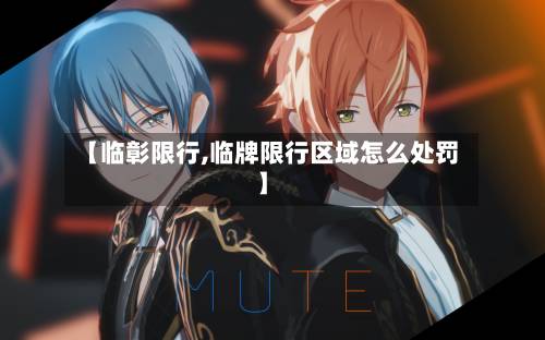 【临彰限行,临牌限行区域怎么处罚】-第2张图片