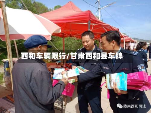 西和车辆限行/甘肃西和县车牌-第2张图片