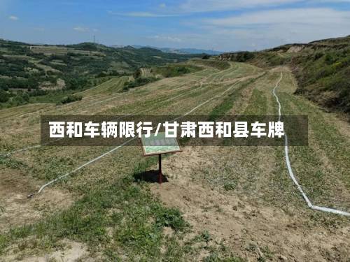 西和车辆限行/甘肃西和县车牌-第3张图片