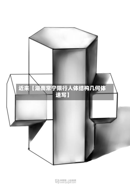 近来【湖南常宁限行人体结构几何体速写】-第2张图片