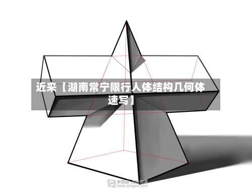 近来【湖南常宁限行人体结构几何体速写】-第1张图片
