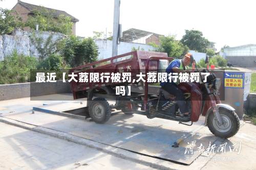 最近【大荔限行被罚,大荔限行被罚了吗】-第1张图片