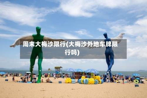 周末大梅沙限行(大梅沙外地车牌限行吗)-第2张图片