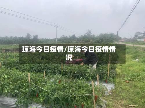 琼海今日疫情/琼海今日疫情情况-第1张图片