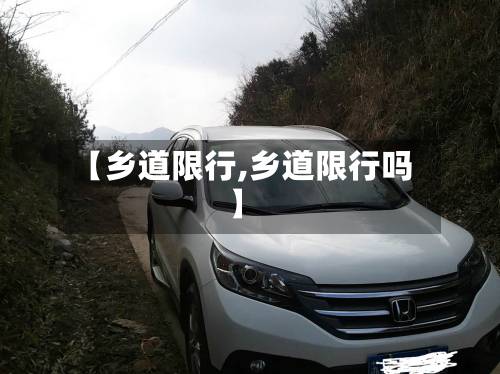 【乡道限行,乡道限行吗】-第1张图片