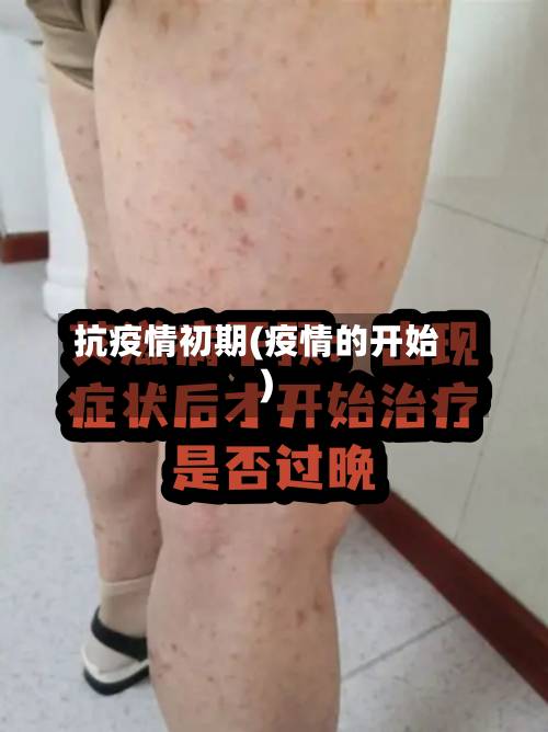 抗疫情初期(疫情的开始)-第2张图片