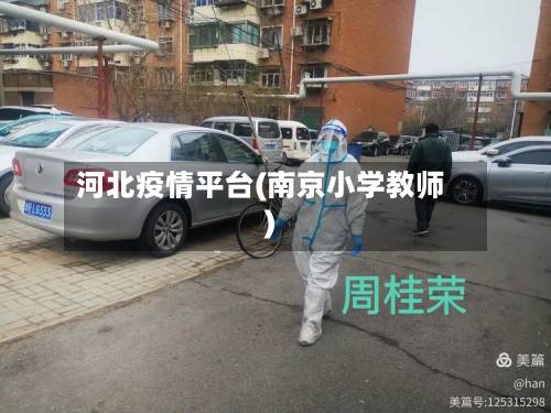 河北疫情平台(南京小学教师)-第1张图片