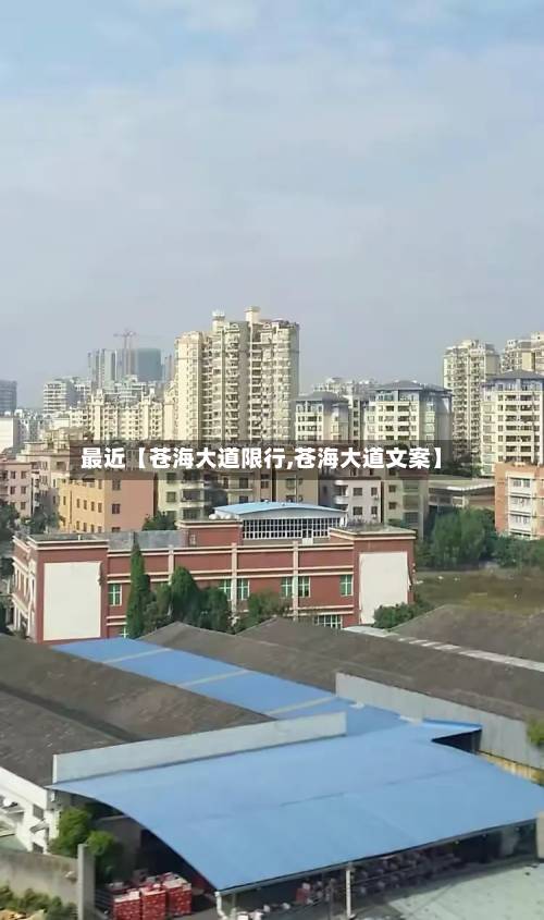 最近【苍海大道限行,苍海大道文案】-第1张图片