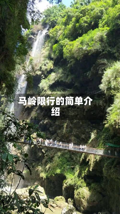 马岭限行的简单介绍