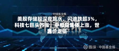 美股存储股深夜跳水，闪迪跌超3%，科技七巨头齐涨，中概股集体上涨，世界油价走低