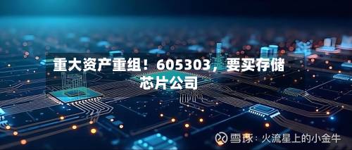 重大资产重组！605303	，要买存储芯片公司-第3张图片