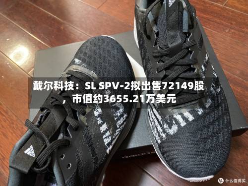 戴尔科技：SL SPV-2拟出售72149股，市值约3655.21万美元