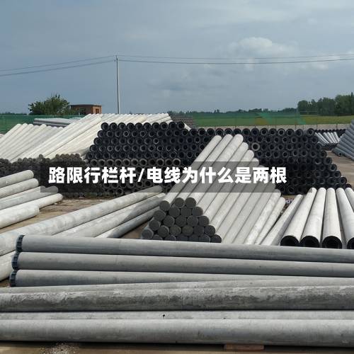 路限行栏杆/电线为什么是两根-第3张图片