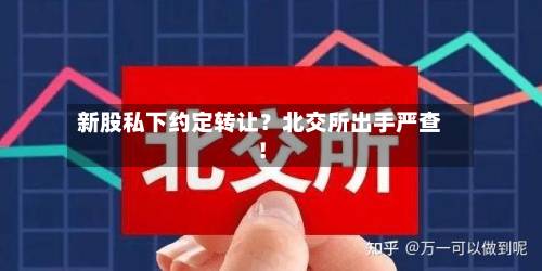 新股私下约定转让?北交所出手严查!-第2张图片