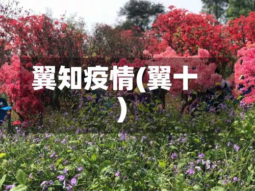 翼知疫情(翼十)